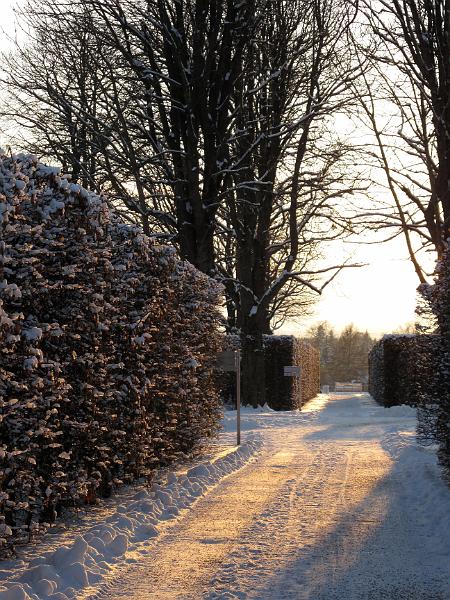 2010-11-30, erster Schnee (2).JPG